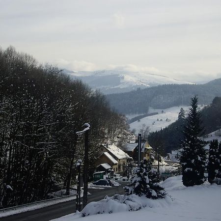 Appartement Vue Sur La Montagne Soultzeren Exterior foto